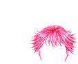 Elouai Hair