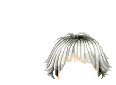 Elouai Hair