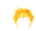 Elouai Hair