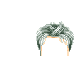 Elouai Hair