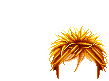 Elouai Hair