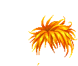 Elouai Hair