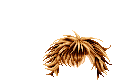 Elouai Hair