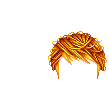 Elouai Hair