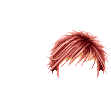Elouai Hair