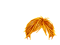 Elouai Hair