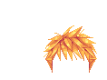 Elouai Hair
