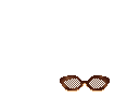 Elouai Glasses