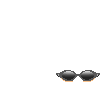 Elouai Glasses