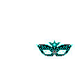 Elouai Glasses