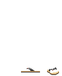 Elouai Shoes
