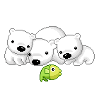 Pets