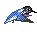 Pets