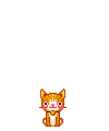 Pets