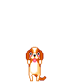 Pets