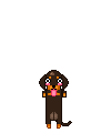 Pets