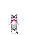 Pets