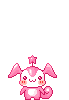 Pets