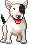 Pets