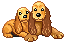 Pets
