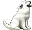 Pets