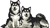 Pets