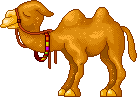 Pets