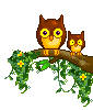 Pets