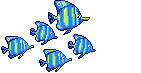 Pets