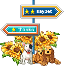 Pets