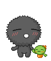 Pets