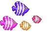 Pets